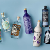 The Manchester Gin Journey