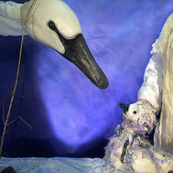 Thingumajig Theatre presents Ugly Duckling