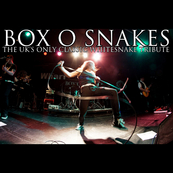 Box 'O' Snakes