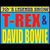 David Bowie & T Rex Tribute