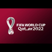 England World Cup 2022 games at St Mary's Chambers