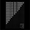 Pantha Du Prince