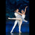 Russian National Ballet - Swan Lake