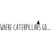 Where Caterpillars Go